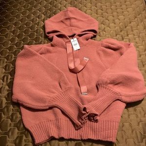 Express hooded sweater